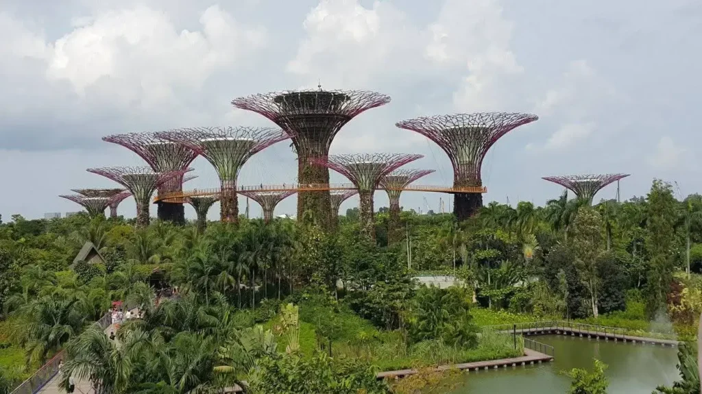 Budget Travel Guide to Singapore for First-Timers gardens by the bay
