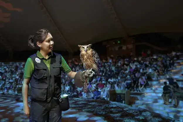 night safari singapore